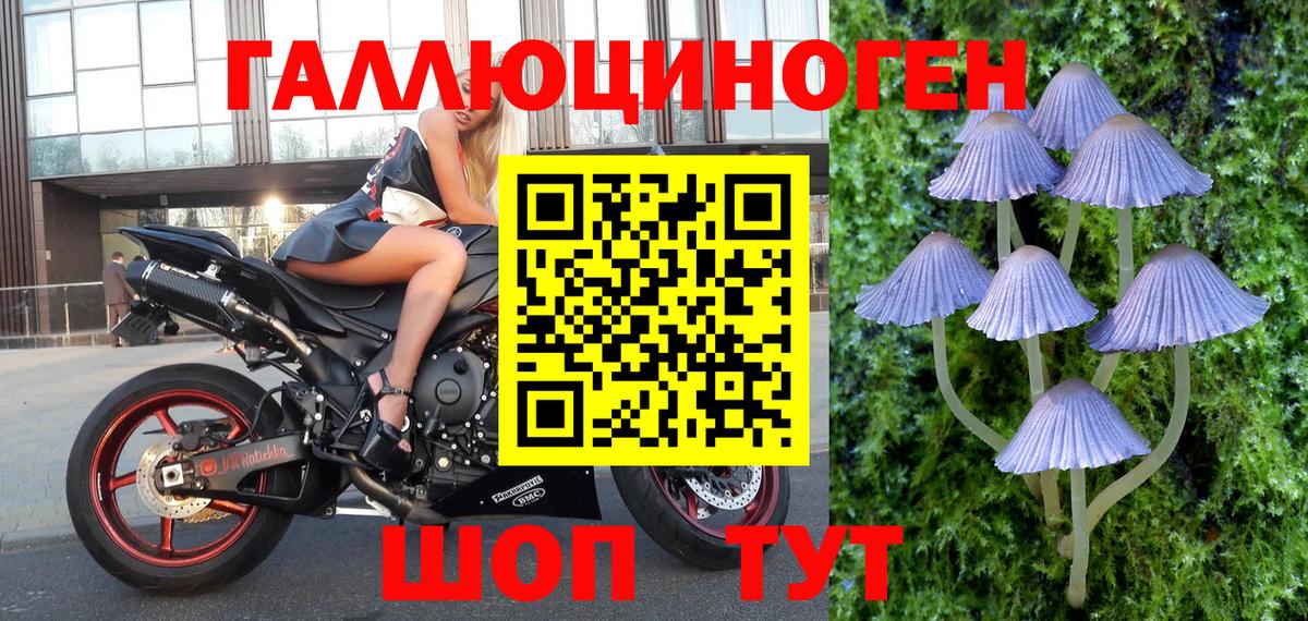 Галлюциногенные грибы ЛСД  как найти   Павлово  Псилоцибиновые грибы Psilocybe  Вход с VPN 